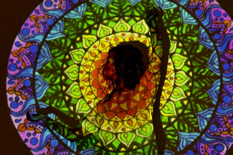 The Surprising Energetic Mechanics of Shadow Projection: How Your Unseen Self Shapes Reality