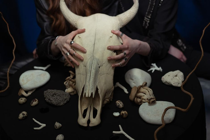 Best Items for Deep Shamanic Journeying: A Complete Buying Guide