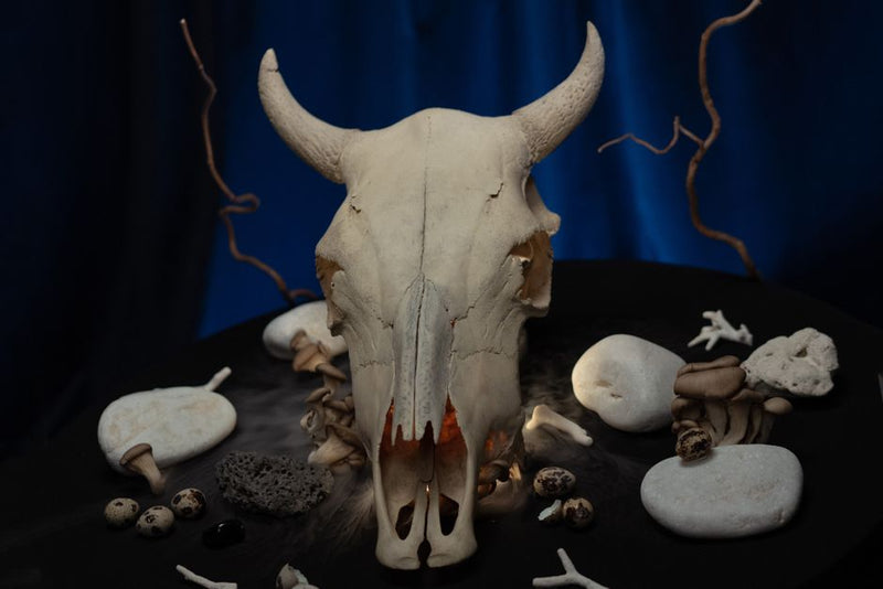 The Hidden Lineage: Tracing the Historical Origins of Shamanic Journey Tools