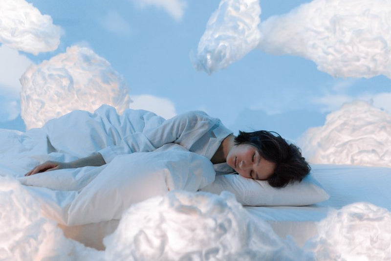 The Neural Gateway: How Lucid Dreaming Rewires the Sleeping Brain