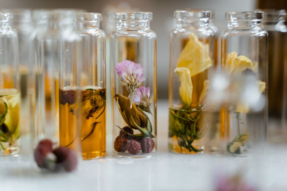 What to Look for in Plant Spirit Essences: The Buyers Guide for Beginners