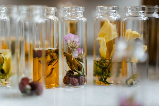 What to Look for in Plant Spirit Essences: The Buyers Guide for Beginners