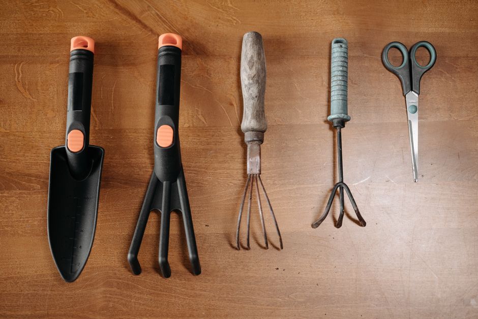 Green Witch Starter Kit: What to Look For When Choosing Tools for a Garden-Based Practice