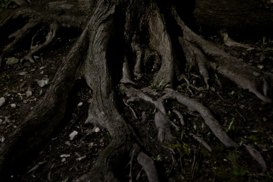 Why Does Ancestor Work Feel Shallow? A Guide to Honoring Roots with Depth