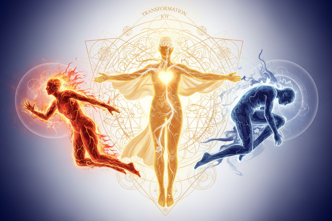 Polyvagal Theory and Joyful Embodiment: The Nervous System of Celebration - Nicole's ritual universe