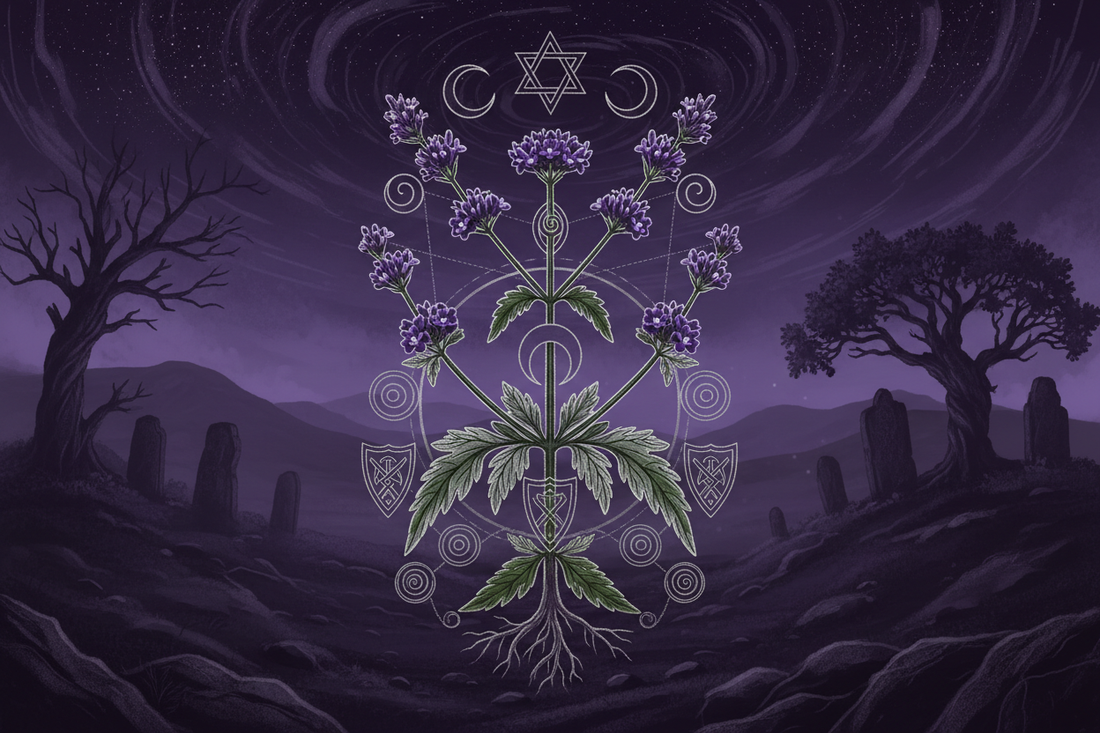 Vervain Magical Properties: Complete Witchcraft Guide to the Druid's Sacred Herb