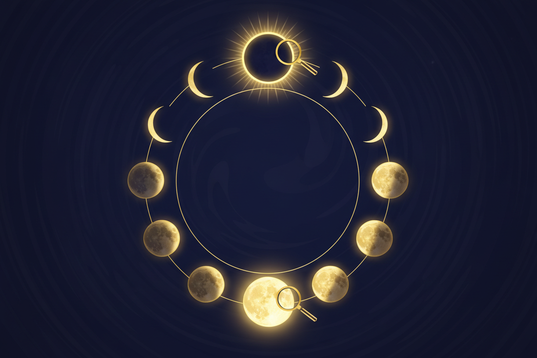Which Moon Phase Is Most Important? A Honest Guide to All 8 Phases
