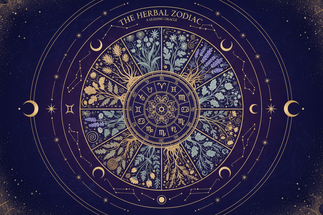 Zodiac Herb Guide: Best Magical Plants for Every Sun Sign