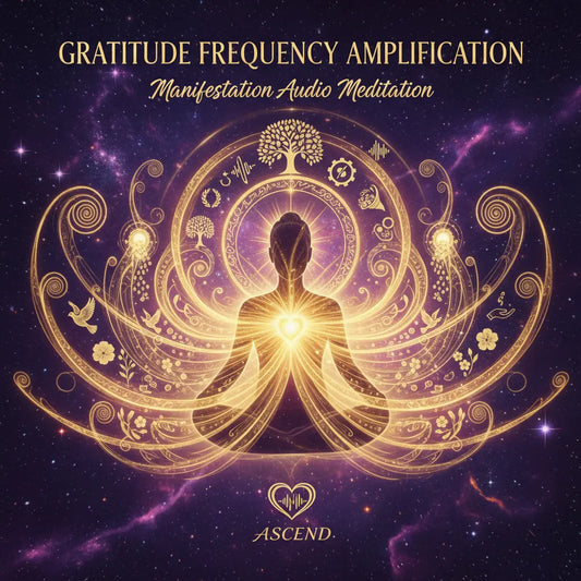 Gratitude Frequency Amplification Manifestation Audio